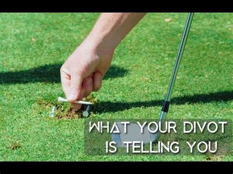 divots for crocs